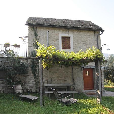 Fattoria L'Amorosa Sementina Habitación foto