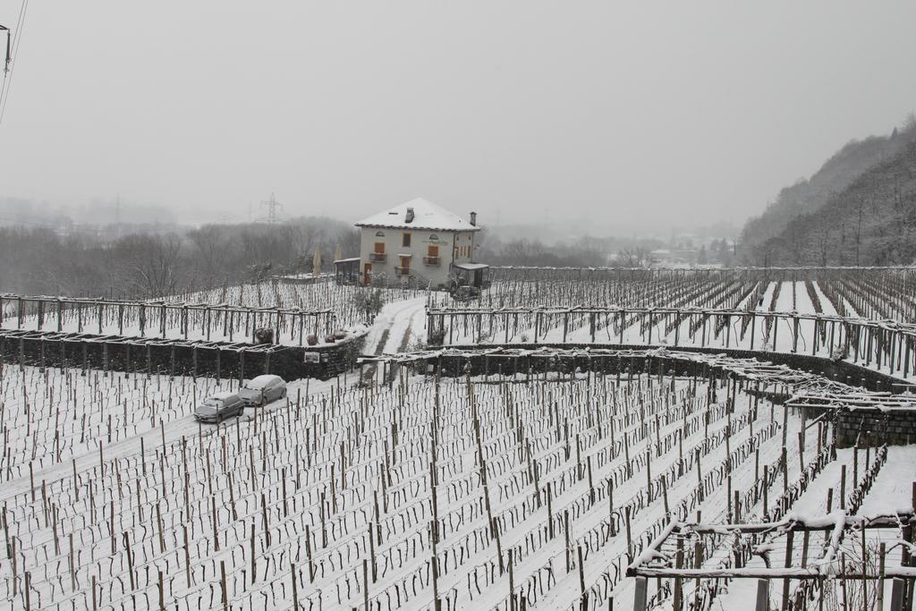 Fattoria L'Amorosa Sementina Exterior foto