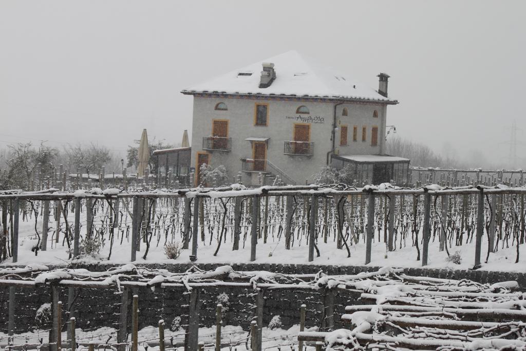 Fattoria L'Amorosa Sementina Exterior foto