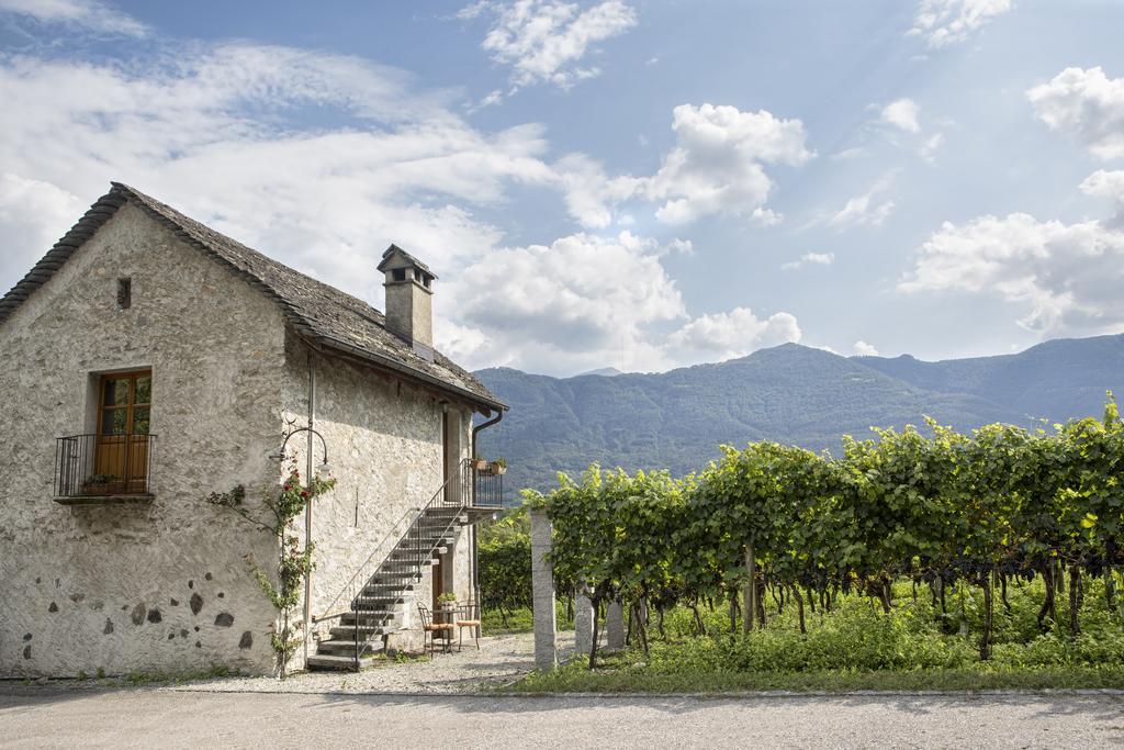 Fattoria L'Amorosa Sementina Exterior foto