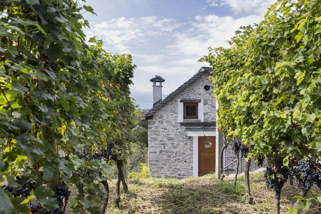 Fattoria L'Amorosa Sementina Exterior foto