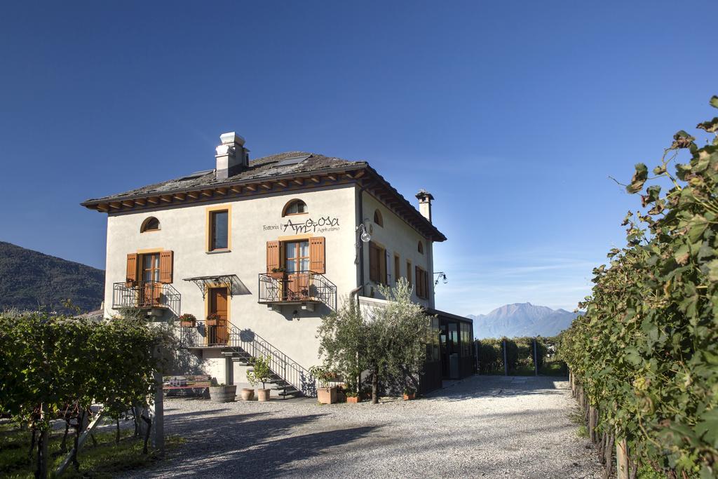 Fattoria L'Amorosa Sementina Exterior foto