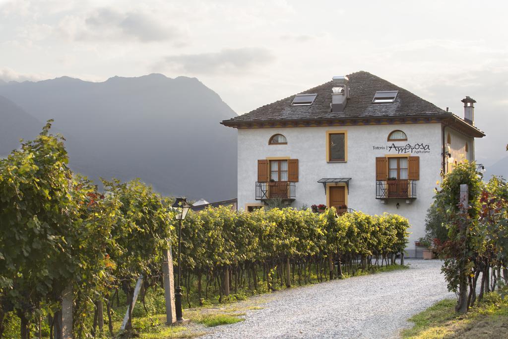 Fattoria L'Amorosa Sementina Exterior foto